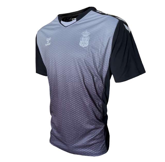 Camiseta técnico entreno 22-23